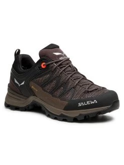 Salewa Chaussures de trekking Ws Mtn Trainer Lite Gtx GORE-TEX 61362-7517 Marron Couleur Marron